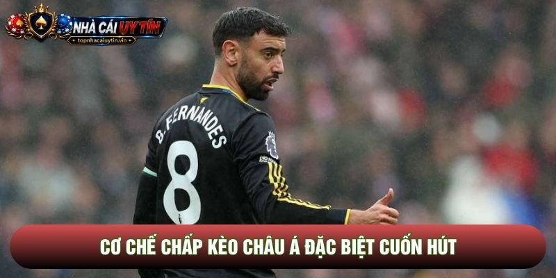 Cơ chế chấp Kèo châu Á đặc biệt cuốn hút Cơ chế chấp Kèo châu Á đặc biệt cuốn hút