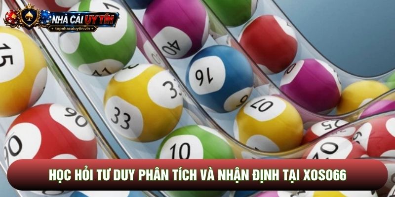 Học hỏi tư duy phân tích và nhận định tại Xoso66 Học hỏi tư duy phân tích và nhận định tại Xoso66