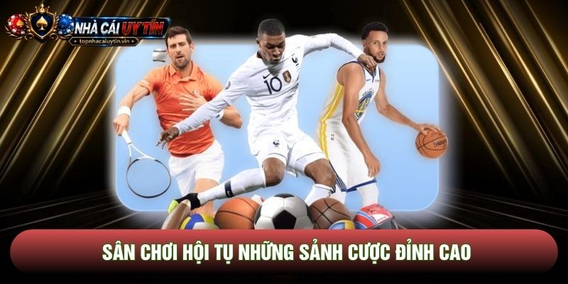 Sân chơi hội tụ những sảnh cược đỉnh cao Sân chơi hội tụ những sảnh cược đỉnh cao