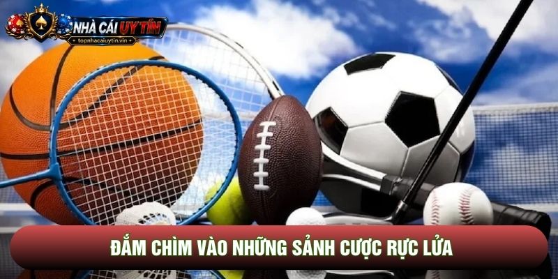 Đắm chìm vào những sảnh cược rực lửa Đắm chìm vào những sảnh cược rực lửa